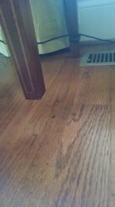 IMG_20150902_114247161